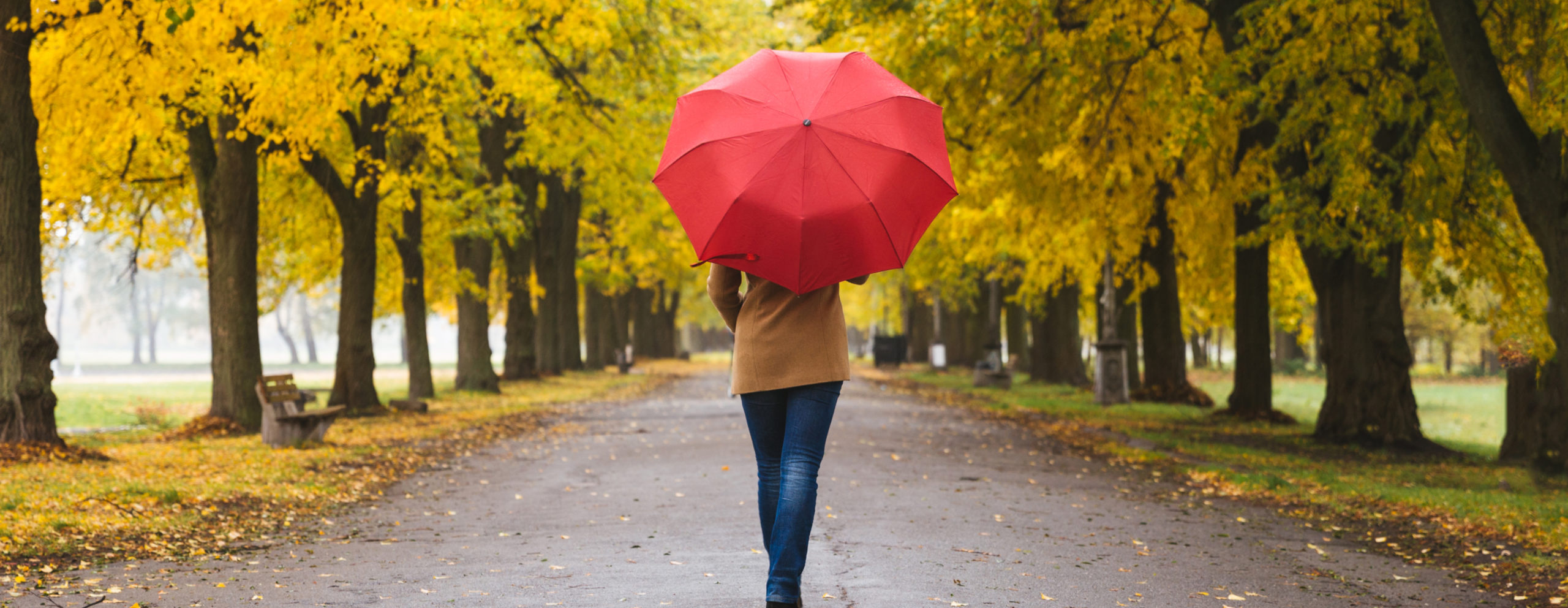 Happy woman with red umbrella walking at the rain in beautiful autumn park Happy woman with red umbrella walking at the rain in beautiful autumn park