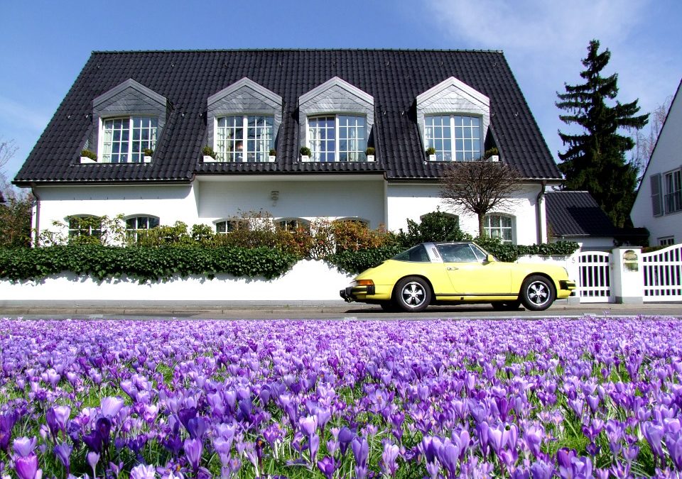 house with purple flowers